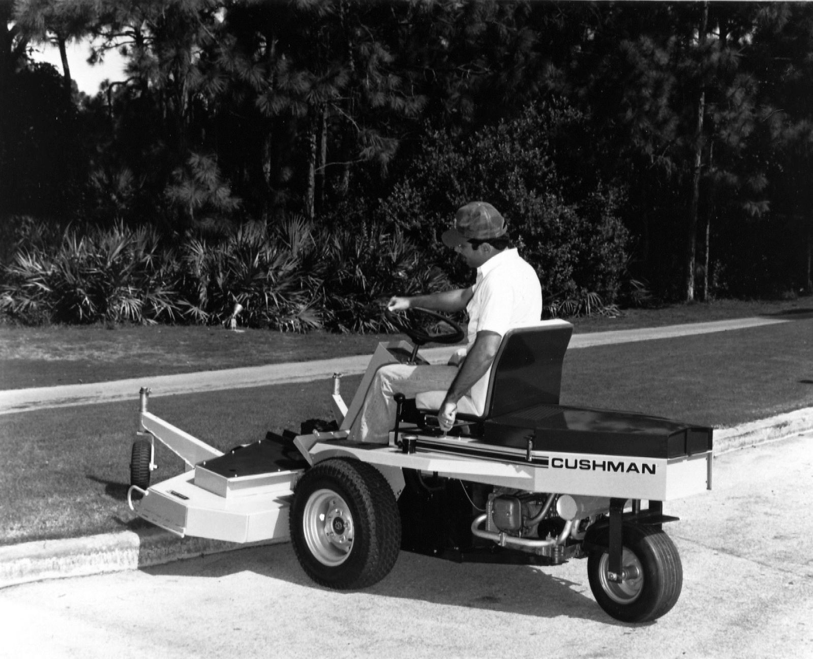 Cushman 1981